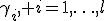 \gamma_i, i=1,\ldots,l