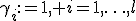 \gamma_i:=1, i=1,\ldots,l