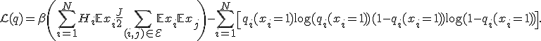 
\mathcal{L}(q) = \beta\left(\sum_{i=1}^NH_i\mathbb{E}x_i + \frac{J}{2}\sum_{(i,j)\in\mathcal{E}}\mathbb{E}x_i\mathbb{E}x_j\right) - \sum_{i=1}^N\left[q_i(x_i=1)\log(q_i(x_i=1)) + (1-q_i(x_i=1))\log(1-q_i(x_i=1))\right].
