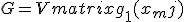 
G=\begin{Vmatrix}
g_1(x_mj)    & g_2(x_mj) \cdots & g_r(x_mj) \\
g_1(x_(m-1)j & g_2(x_(m-1)j)   \cdots & g_r(x_(m-1)j  \\
\vdots     
\\
g_1(x_j) & g_2(x_j)  \cdots & g_r(x_j)\\
\end{Vmatrix}
