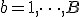 b = 1, \dots, B