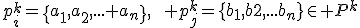 p_i^k=\{a_1,a_2,... a_n\},\qquad p_j^k=\{b_1,b2,...b_n\}\in P^k