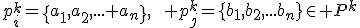 p_i^k=\{a_1,a_2,... a_n\},\qquad p_j^k=\{b_1,b_2,...b_n\}\in P^k