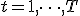 t = 1, \dots, T